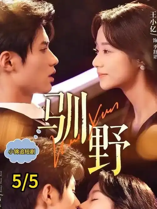 热播电视剧全集《长夜将明》高清在线观看